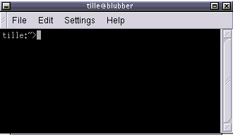 X terminal window when just opened displays a prompt.
